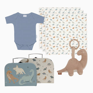 Kraamcadeau met koffertje - dino